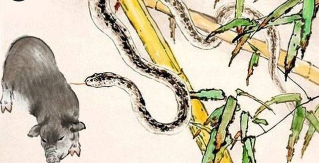 Người tuổi Tỵ thường thận trọng, tính toán kỹ lưỡng và có xu hướng kiểm soát tài chính chặt chẽ. Ngược lại, người tuổi Hợi lại sống thoải mái, dễ hài lòng. Ảnh minh họa