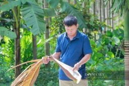 Vườn cây thẳng đứng như cột chống trời đang giúp một người Thanh Hóa thu tiền tỷ/năm, bẹ lá, quả, thân bán ra tiền hết