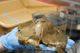 Giải mã bí ẩn ‘quả trứng vàng’ có nghi vấn liên quan đến người ngoài hành tinh