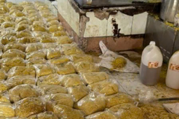 Hai vợ chồng trộn thủy tinh lỏng vào mì tươi, tuồn ra thị trường 2.800 tấn