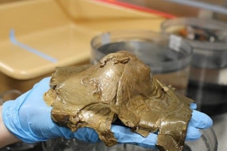 Giải mã bí ẩn ‘quả trứng vàng’ có nghi vấn liên quan đến người ngoài hành tinh