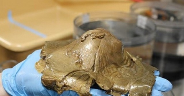 Giải mã bí ẩn ‘quả trứng vàng’ có nghi vấn liên quan đến người ngoài hành tinh