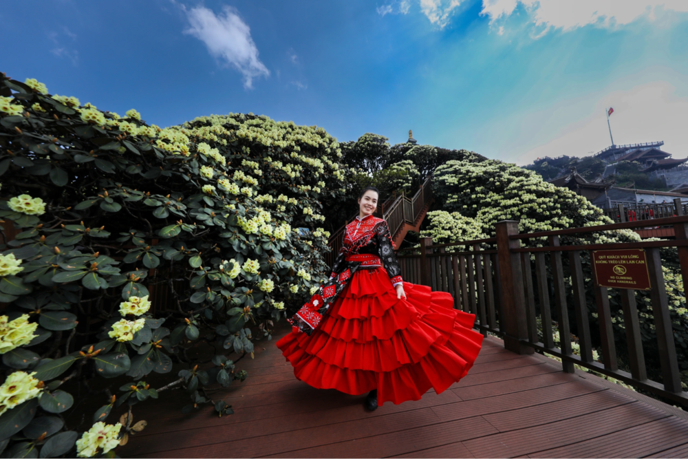 Lễ hội Hoa hồng Fansipan 2026 khai màn, hàng vạn du khách check-in bên triệu đoá hồng, vui bất tận từ sáng tới đêm - 7