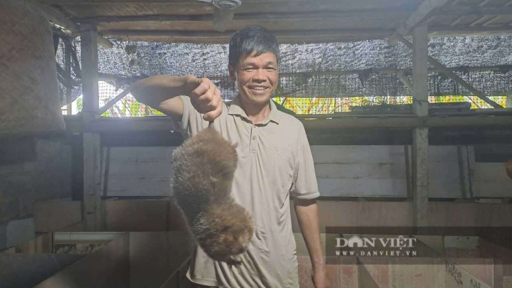 Ông&nbsp;Hoàng Văn Cường (thôn Nà Ngò, xã Thượng Minh, tỉnh Thái Nguyên) bắt tay vào nuôi dúi từ năm 2022 với nhiều khó khăn ban đầu. Ảnh: Hà Thanh