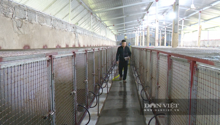 Theo anh&nbsp;Trần Hậu Tuệ&nbsp;(ở thôn Quần Ngọc, xã Gia Hanh, Hà Tĩnh), hiện trang trại nuôi chồn hương đã mang lại nguồn thu nhập rất lớn, trở thành địa chỉ tham quan, học tập kinh nghiệm cho nhiều nông dân trong và ngoài vùng. Ảnh: PV