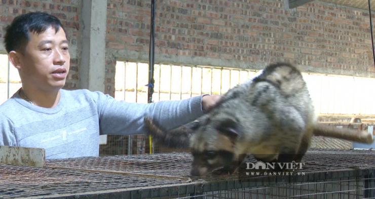 Anh&nbsp;Mai Khắc Thạch, xã Gia Hanh, Hà Tĩnh là một trong những gương mặt tiêu biểu trong phong trào nuôi chồn hương. Ảnh: PV