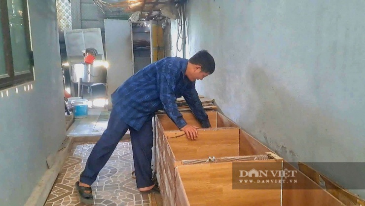 Ông Lê Văn An tận dụng tầng 2 của ngôi nhà 3 tầng, dùng gạch men ghép thành từng ô chuồng nhỏ để nuôi dúi má đào. Ảnh: Phạm Hoài.