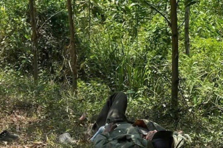 Cụ ông 79 tuổi mang "thỏi vàng" nằm lả bên vệ đường ở giữa rừng tràm