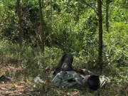 Cụ ông 79 tuổi mang "thỏi vàng" nằm lả bên vệ đường ở giữa rừng tràm