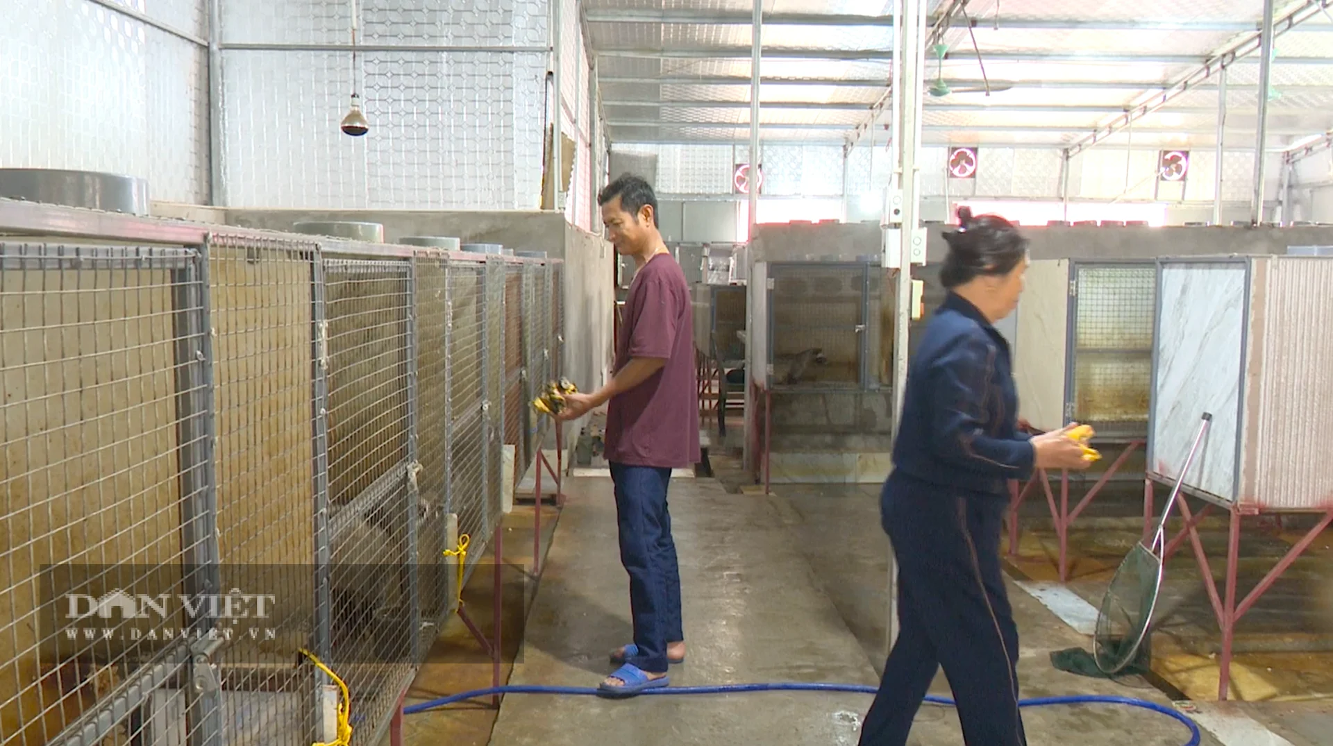 Mô hình nuôi chồn hương tại&nbsp;xã Gia Hanh (tỉnh Hà Tĩnh)&nbsp;hiện là một trong những điểm sáng về phát triển kinh tế nông thôn, giúp nhiều hộ dân thu nhập hàng trăm triệu đến hàng tỷ đồng mỗi năm. Ảnh: PV