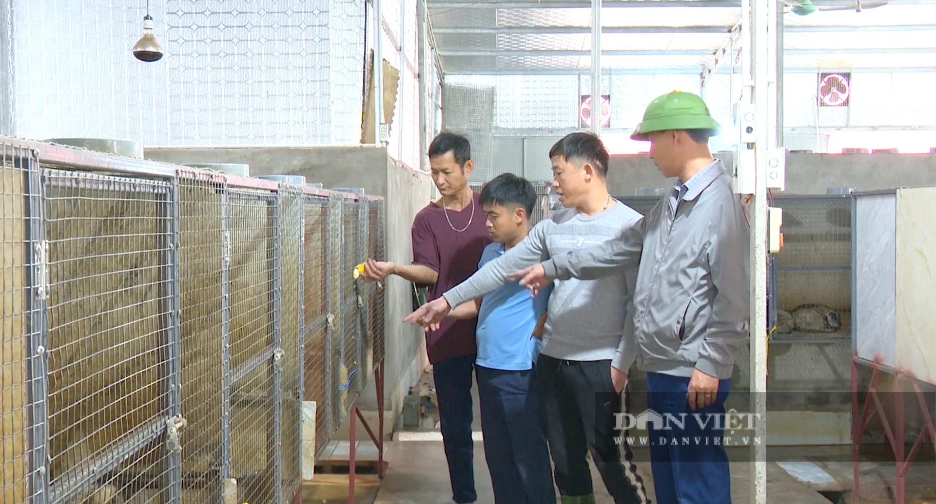 Mô hình nuôi chồn hương tại&nbsp;xã Gia Hanh (tỉnh Hà Tĩnh)&nbsp;hiện là một trong những điểm sáng về phát triển kinh tế nông thôn, giúp nhiều hộ dân thu nhập hàng trăm triệu đến hàng tỷ đồng mỗi năm. Ảnh: PV