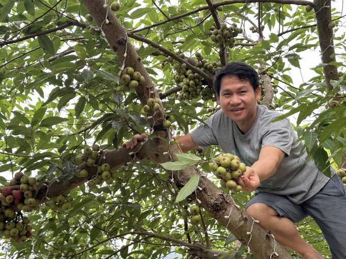 Chim làm tổ, hoa khoe sắc ở biệt thự 4.000 m2 của Trọng Tấn - 2