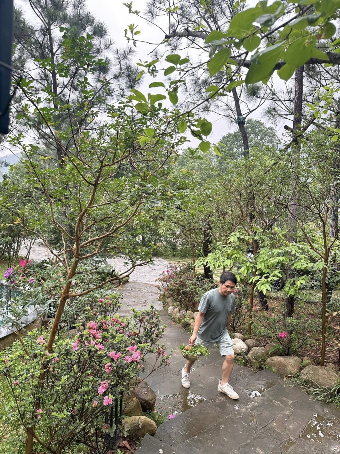 Chim làm tổ trong vườn nhà Trọng Tấn