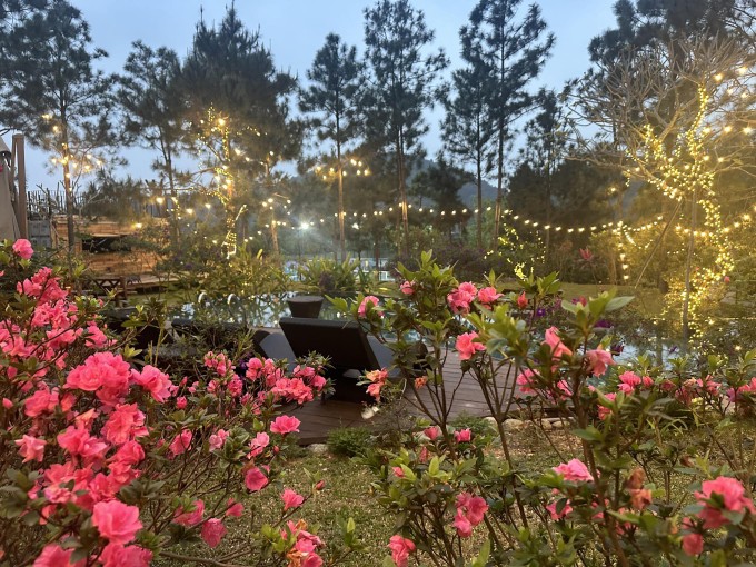 Chim làm tổ, hoa khoe sắc ở biệt thự 4.000 m2 của Trọng Tấn - 6