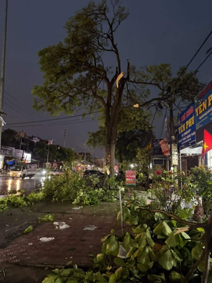 Cây cối bị gió vặn gãy ở Xuân Mai. Ảnh: Trần Hồng Nhung.