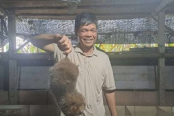 Con vật này xưa đào hang, nay nuôi lồng thành công,một người Thái Nguyên cứ bán là ra giá con đặc sản