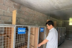 Đây là con vật "một mình một chuồng" nuôi thành công ở Lạng Sơn, chi phí rẻ, giá bán cả triệu đồng/kg?