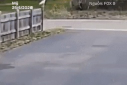 Máy bay hạng nhẹ rơi ở Mỹ, nữ nghị sĩ thiệt mạng