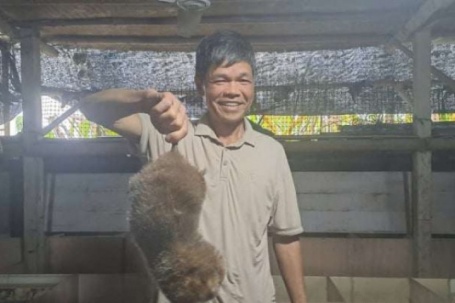 Con vật này xưa đào hang, nay nuôi lồng thành công,một người Thái Nguyên cứ bán là ra giá con đặc sản