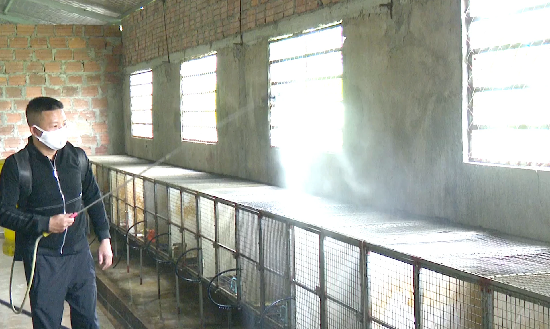 Chuồng nuôi chồn hương được làm bằng lưới sắt hoặc gỗ tre kiên cố, kích thước tham khảo khoảng 1m (cao) x 1m (rộng) x 1.2m (dài) để đảm bảo không gian vận động. Ảnh: PV