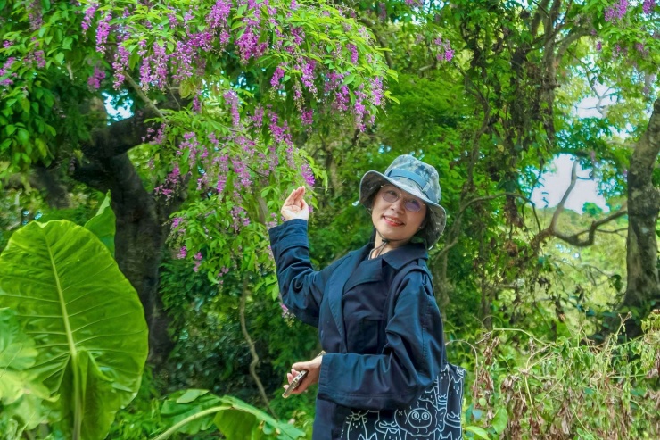 Nhiều người dân và du khách tìm đến bán đảo Sơn Trà để chiêm ngưỡng, check-in. Ảnh: D.B