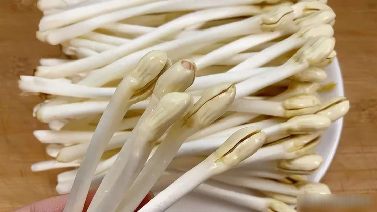 Loại rau dân dã tưởng quen mà lạ, được mệnh danh là "mầm trường thọ", protein gấp 8 lần sữa, xào sơ cũng ngon - 4