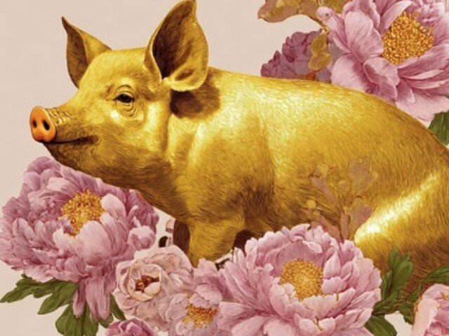 Bước sang tháng 5, sự thay đổi từ môi trường làm việc hoặc cấp trên có thể khiến con giáp Hợi mất phương hướng trong ngắn hạn. Ảnh minh họa