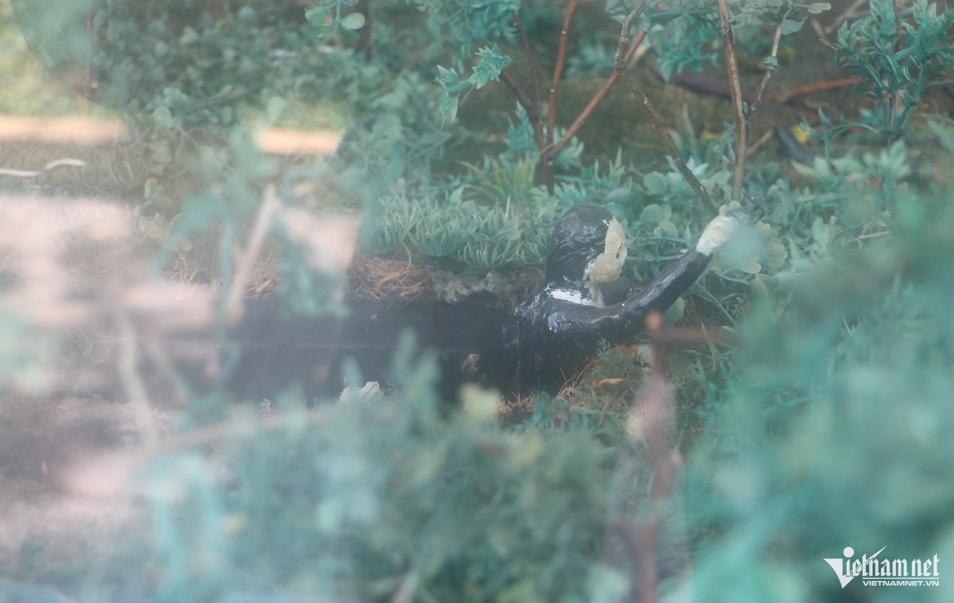 Sa bàn tái hiện lại khung cảnh, giây phút cuối cùng nữ anh hùng Nguyễn Thị Đẹp chiến đấu và hy sinh. Ảnh: Quang Hưng