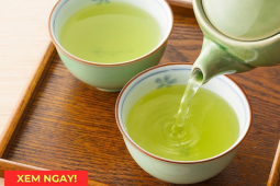 Tin tức sức khỏe - Uống trà xanh có tốt cho phổi? Câu trả lời khiến nhiều người bất ngờ!