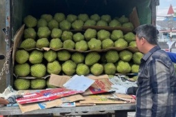 Sầu riêng rớt giá thê thảm