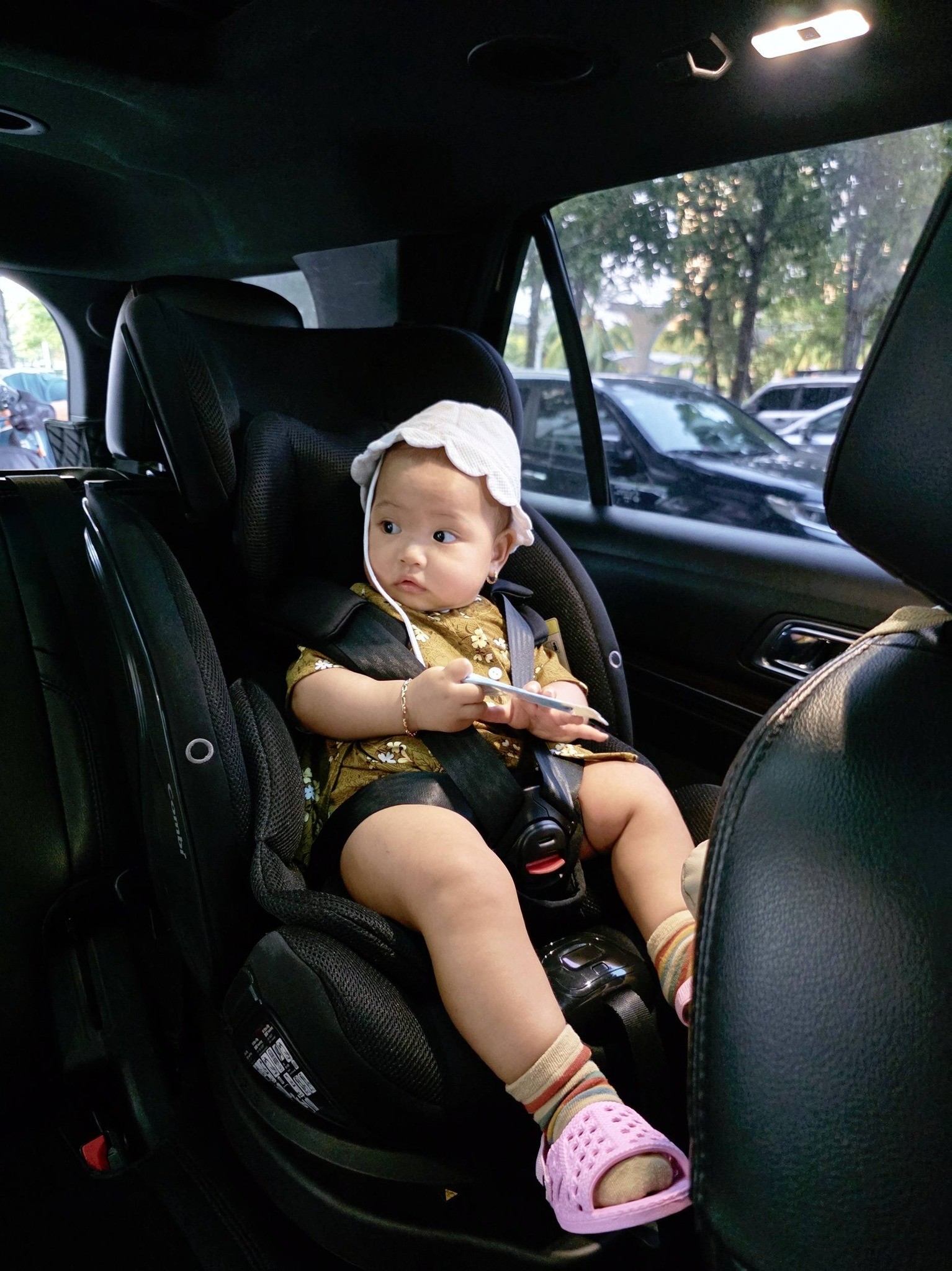 Vẻ hài hước đáng yêu của bé Harley nhà H'Hen Niê.