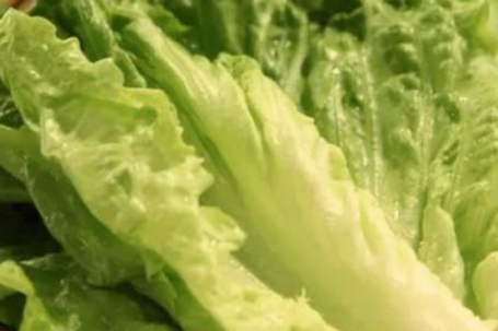 4 loại rau xanh hỗ trợ giải độc và bảo vệ gan