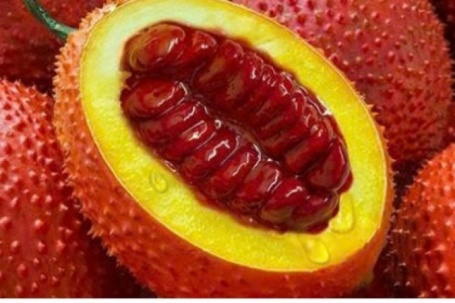 Không chỉ để nấu xôi, quả gấc còn mang lại 13 lợi ích sức khỏe bất ngờ