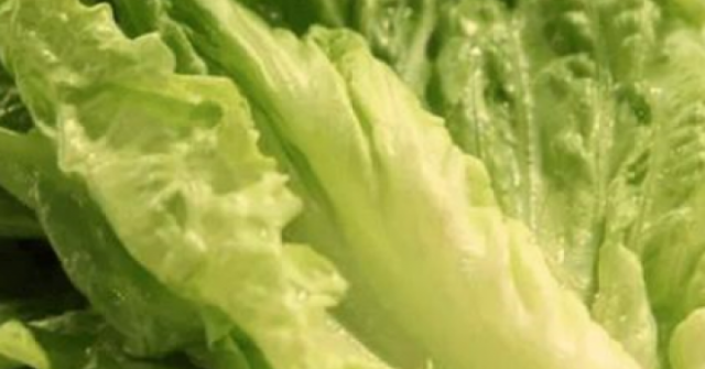 4 loại rau xanh hỗ trợ giải độc và bảo vệ gan