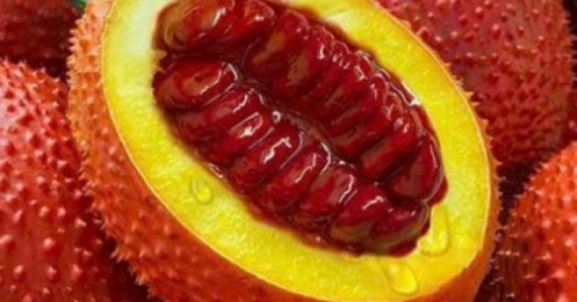 Không chỉ để nấu xôi, quả gấc còn mang lại 13 lợi ích sức khỏe bất ngờ