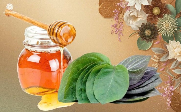 Lá mơ lông chứa hợp chất giúp làm dịu co bóp ruột, hỗ trợ giảm đầy bụng và khó chịu sau ăn