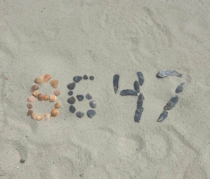 Ảnh dãy số "8647" được xếp bằng vỏ sò mà cựu giám đốc FBI James Comey đăng trên mạng xã hội năm 2025. Ảnh: Instagram/James Comey