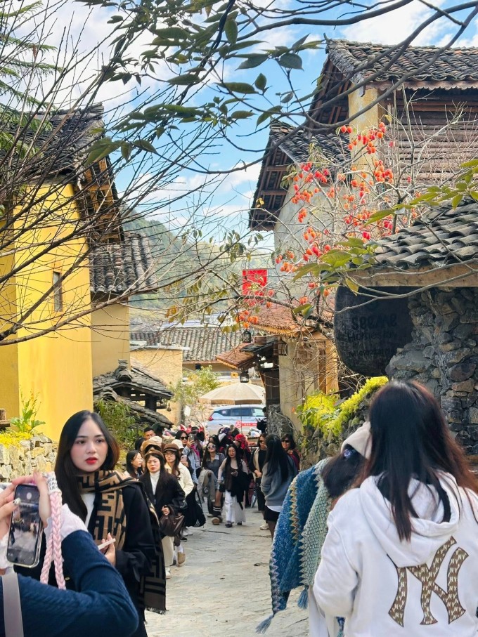 Du khách xếp hàng dài để chụp ảnh check-in với cây hồng ở trung tâm làng Lô Lô Chải. Ảnh: Tí Lầu