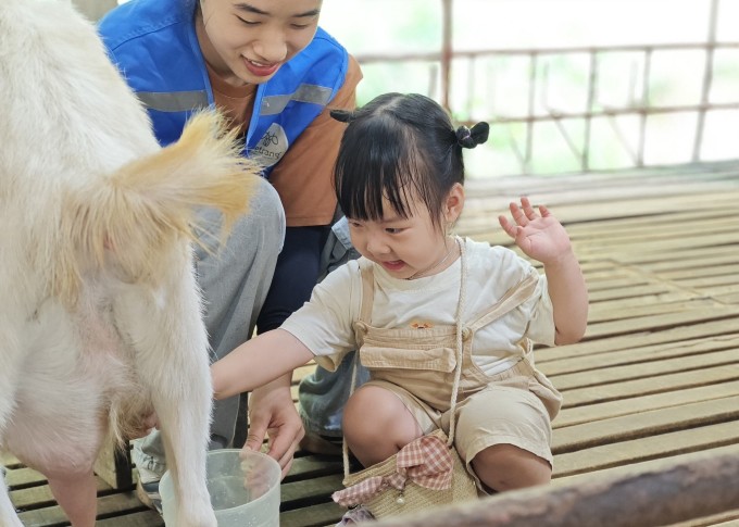 Trẻ em trải nghiệm vắt sữa dê tại nông trại. Ảnh: Detrang farm