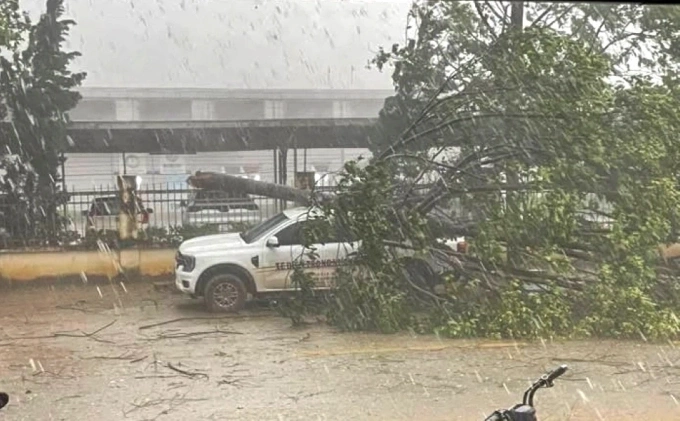 Cây xanh gãy đè trúng ôtô của người dân ở xã Ngọc Liên chiều 28/4. Ảnh: Lam Sơn