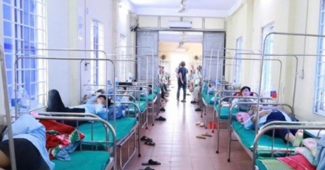 Phát hiện vi khuẩn Salmonella trong bánh mì gây ra vụ ngộ độc ở Nghệ An