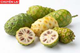 Tin tức sức khỏe - Loại quả có “mùi nồng” ở Việt Nam rẻ bèo, sang Nhật thành đặc sản tiền triệu, nhiều người tiếc vì biết quá muộn