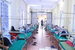 Phát hiện vi khuẩn Salmonella trong bánh mì gây ra vụ ngộ độc ở Nghệ An