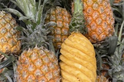 Một loại quả đang vào mùa bán đầy chợ Việt giá chỉ hơn chục nghìn đồng/quả, hương vị thơm ngon, tốt cho sức khỏe