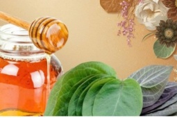 Lá mơ lông và mật ong: Công dụng bất ngờ khi dùng đúng cách