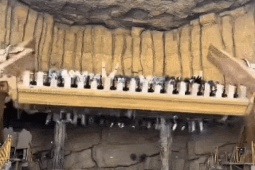 Tàu lượn 'xoay như máy giặt' ở công viên khủng long Trung Quốc