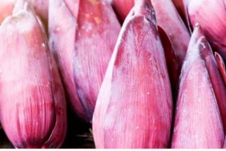 “Thuốc bổ tự nhiên” có sẵn ở Việt Nam, bổ thận dưỡng tim, cực tốt cho phái đẹp