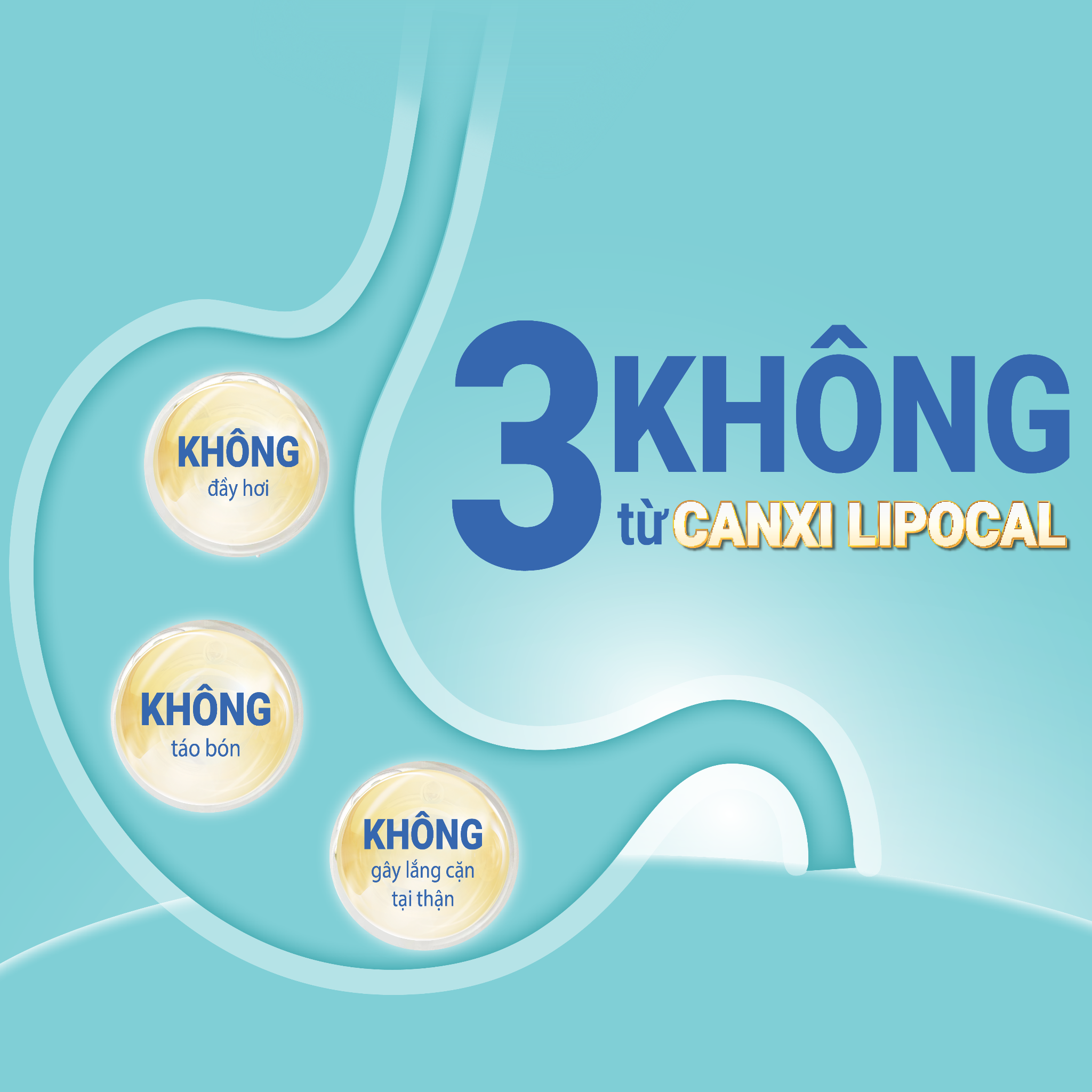 Canxi Lipocal: “Canxi Trúng Đích” trong bổ sung dinh dưỡng hiện đại - 3