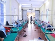 Phát hiện vi khuẩn Salmonella trong bánh mì gây ra vụ ngộ độc ở Nghệ An