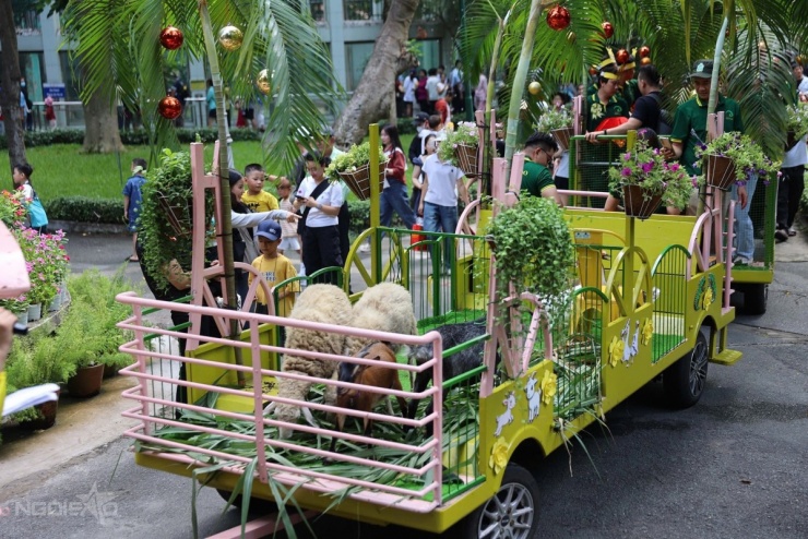 Bên cạnh nhân viên chăm sóc, đoàn còn có sự xuất hiện của cừu, dê, mèo và một số loài chim nhỏ.